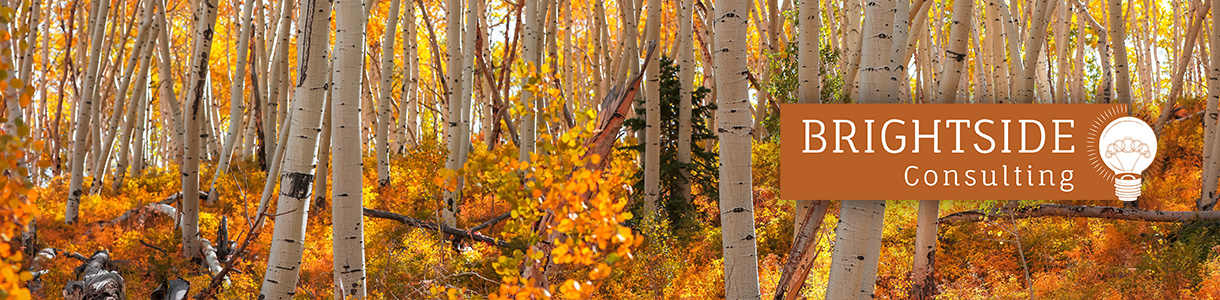 Brightside Consulting