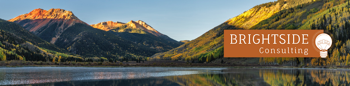 Brightside Consulting